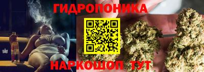 spice Аргун