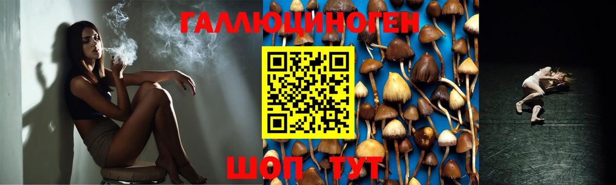 Псилоцибиновые грибы MAGIC MUSHROOMS Богородицк